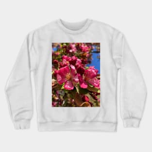 Utah Peace Garden Blossoms Crewneck Sweatshirt